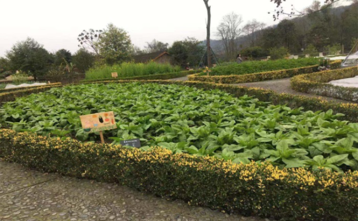 1582189985335800.jpg 3.jpg