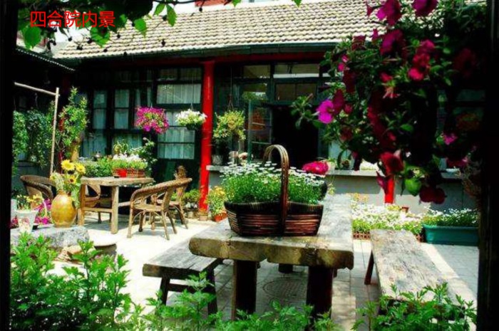 1582190013950338.jpg 6.jpg