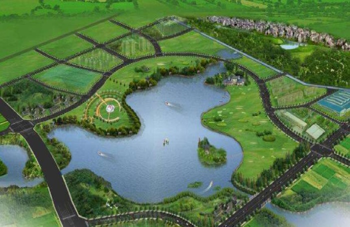 1582190041328927.jpg 9.jpg