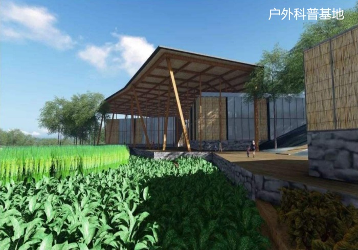 1582190070141852.jpg 12.jpg