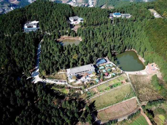 1582190078398416.jpg 13.jpg