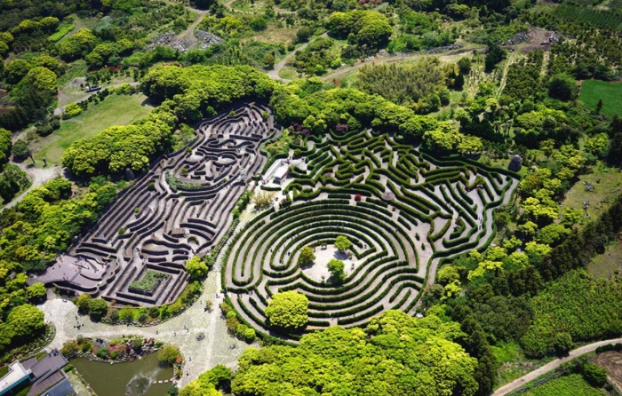 1582192582756471.jpg 5.jpg