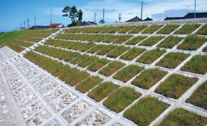 1583388319587823.jpg 1.jpg