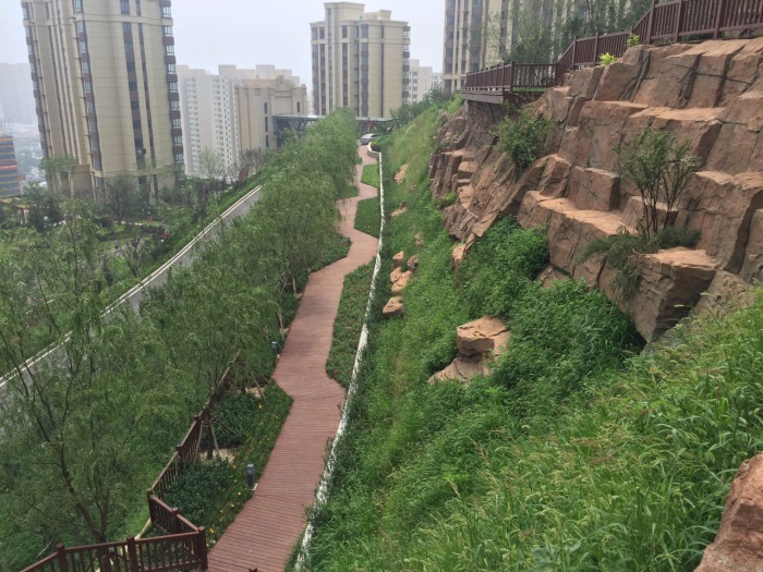 1583388391396326.jpg 2.jpg