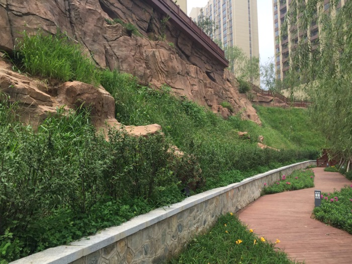 1583388407699834.jpg 3.jpg