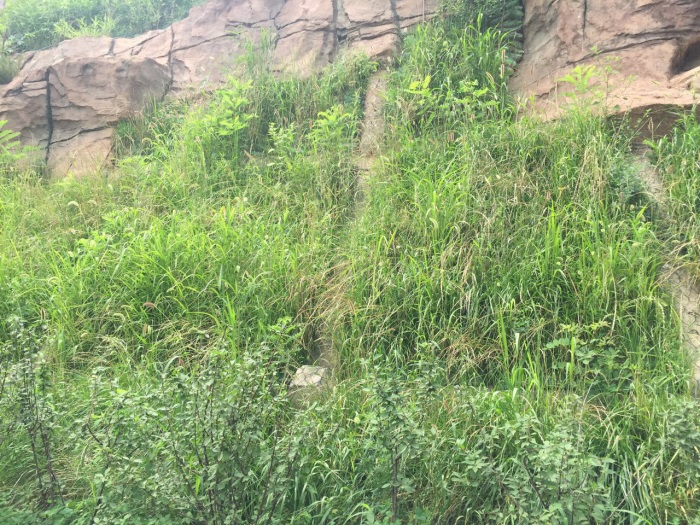 1583388436272659.jpg 4.jpg