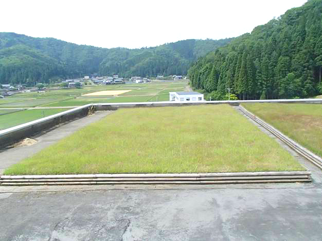 1583390098548028.png 4 后期維護管理效果實例(鋪設(shè)完成3年后)_看圖王.png