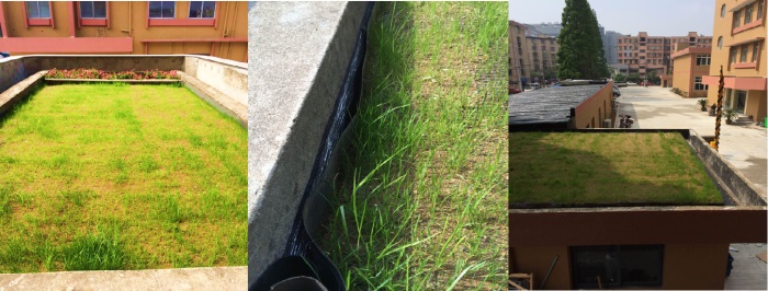 1583390128864508.jpg 5 屋頂綠化 寧波.jpg