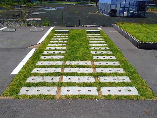 02 施工后草坪生長情況實例（鋪設(shè)完成10個月后）.jpg