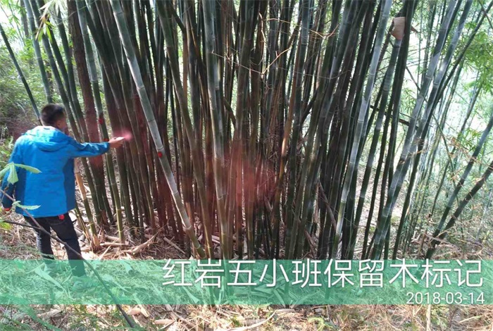 1583484097735542.jpg 1.jpg