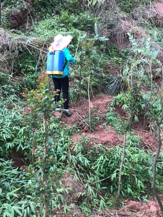 1583484164203261.jpg 8.jpg