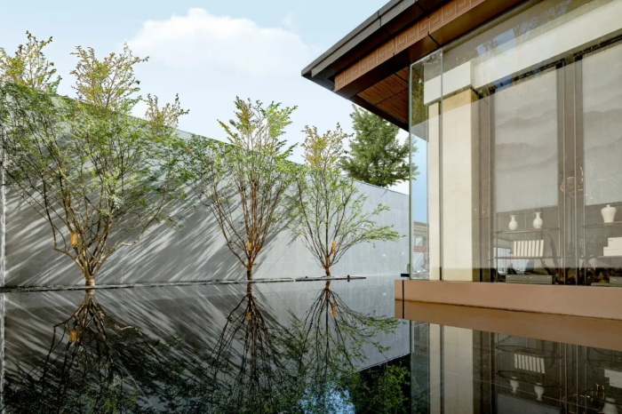 1589195302520772.jpg 10.jpg