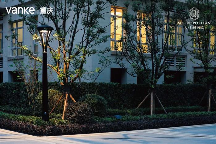 1612873626939375.jpg 3.jpg