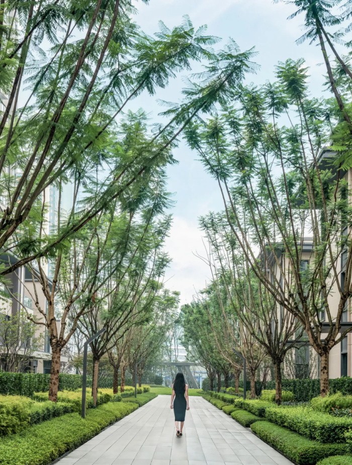 1636595440399821.jpg 19.jpg