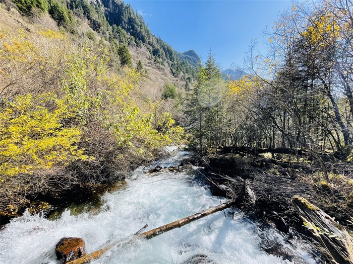 1669972163653310.jpg WPS圖片(1).jpg