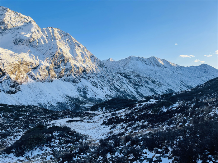 1669976718297523.jpg IMG_6896.jpg