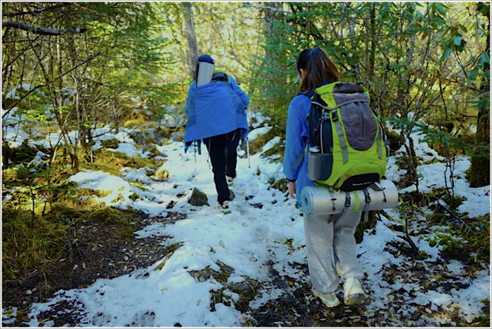 1670037892920399.png 230.png